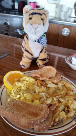 20161016_115433-copy