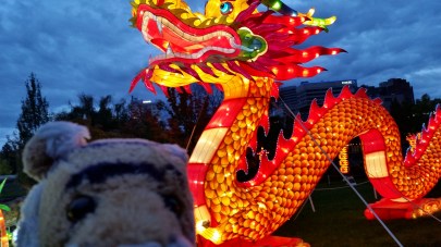 20161016_180907-copy