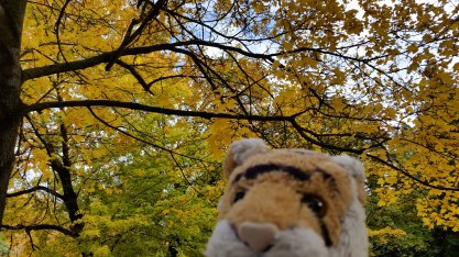 20161017_153927-copy